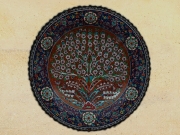 P-ID243
