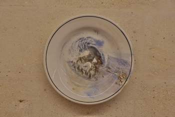 P-MD025