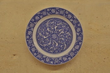 IY-P006